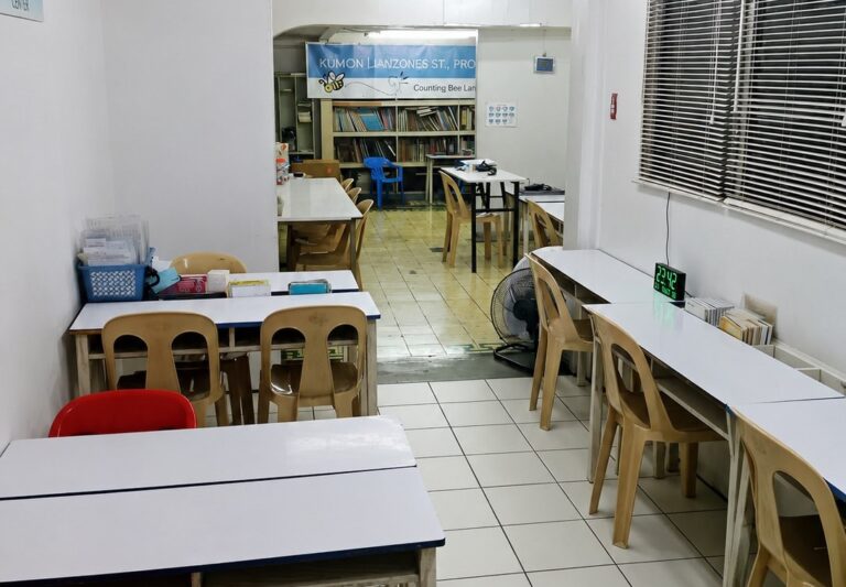 lanzones-st-project-2-b-center-6