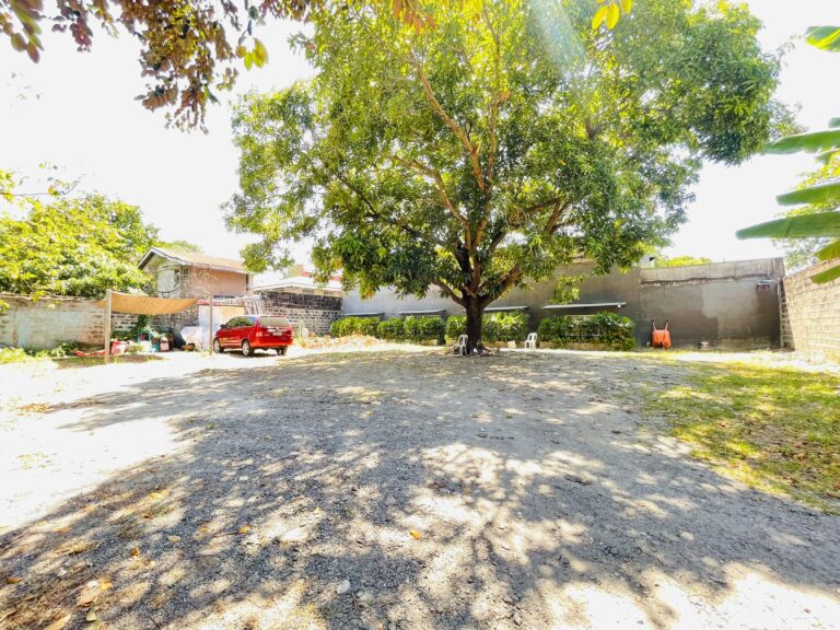 the-woodbridge-academy-bacolod-center-2